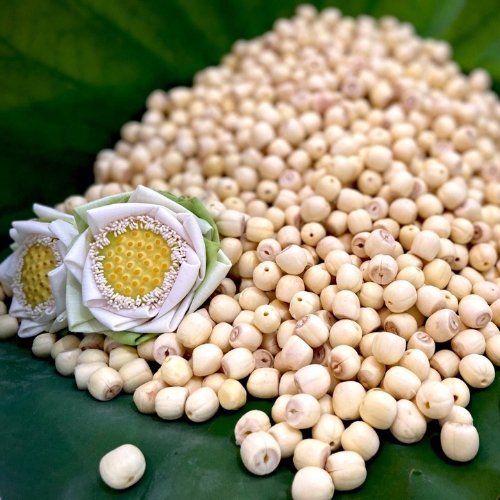 Hạt Sen Khô Huế Tịnh Tâm