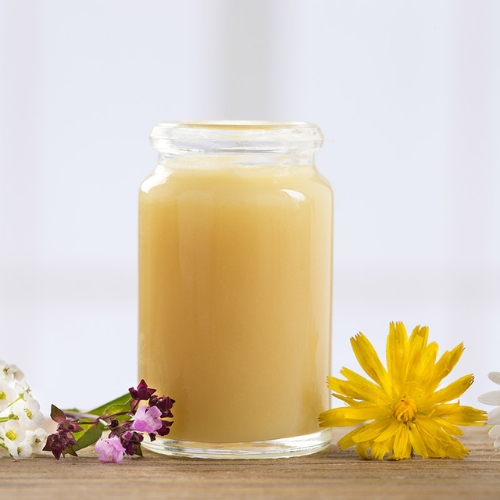 Sữa ong chúa tươi